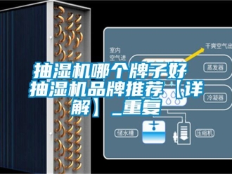 企业动态抽湿机哪个牌子好 抽湿机品牌推荐【详解】_重复