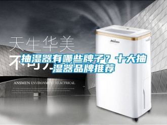企业动态抽湿器有哪些牌子？十大抽湿器品牌推荐
