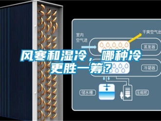 常见问题风寒和湿冷，哪种冷更胜一筹？