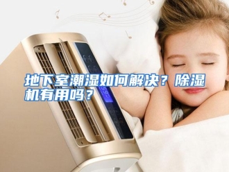 常见问题地下室潮湿如何解决？除湿机有用吗？