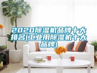 常见问题2020除湿机品牌十大排名(工业用除湿机十大品牌)
