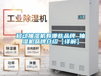 企业动态移动抽湿机有哪些品牌 抽湿机品牌介绍【详解】
