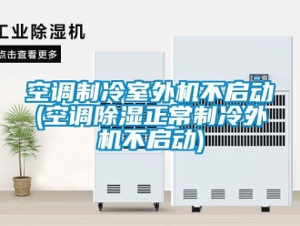 行业资讯空调制冷室外机不启动(空调除湿正常制冷外机不启动)