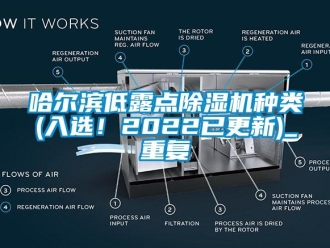 行业资讯哈尔滨低露点除湿机种类(入选！2022已更新)_重复