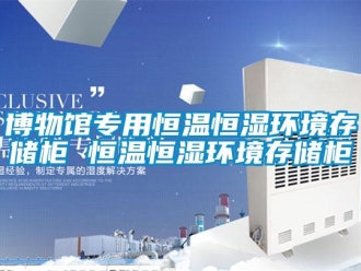 知识百科博物馆专用恒温恒湿环境存储柜 恒温恒湿环境存储柜