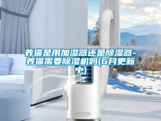 行业资讯养猫是用加湿器还是除湿器-养猫需要除湿机吗(6月更新中)
