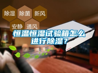 知识百科恒温恒湿试验箱怎么进行除湿？