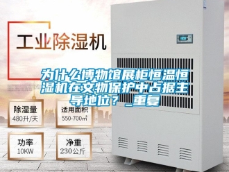 知识百科为什么博物馆展柜恒温恒湿机在文物保护中占据主导地位？_重复