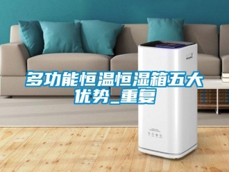 知识百科多功能恒温恒湿箱五大优势_重复
