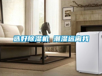 行业资讯选好除湿机 潮湿远离我