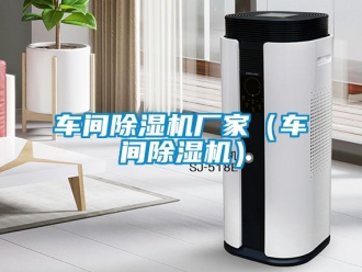 企业动态车间除湿机厂家（车间除湿机）