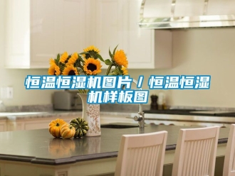 知识百科恒温恒湿机图片／恒温恒湿机样板图