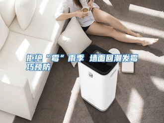 行业资讯拒绝“霉”雨季 墙面回潮发霉巧预防