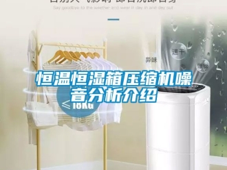 知识百科恒温恒湿箱压缩机噪音分析介绍