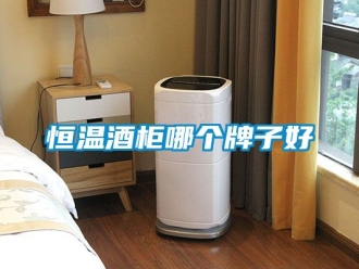 知识百科恒温酒柜哪个牌子好