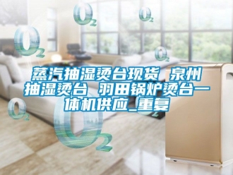 企业动态蒸汽抽湿烫台现货 泉州抽湿烫台 羽田锅炉烫台一体机供应_重复