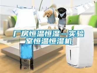 知识百科厂房恒温恒湿…实验室恒温恒湿机