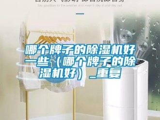 行业资讯哪个牌子的除湿机好一些（哪个牌子的除湿机好）_重复