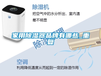 行业资讯家用除湿器品牌有哪些_重复