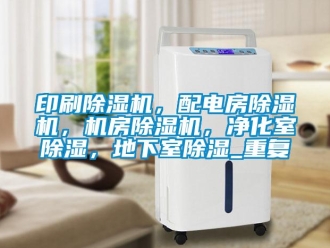 行业资讯印刷除湿机，配电房除湿机，机房除湿机，净化室除湿，地下室除湿_重复