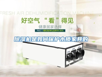 常见问题除湿机是如何保护木质家具的