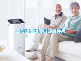 知识百科嘉兴恒温恒湿试验箱种类