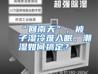 常见问题“回南天”，被子湿冷难入眠，潮湿如何搞定？