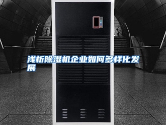 常见问题浅析除湿机企业如何多样化发展