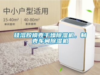 企业动态硅溶胶模壳干燥除湿机，制壳车间除湿机