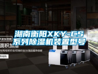 行业资讯湖南衡阳XKY-CS系列除湿机装置型号