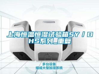 知识百科上海恒温恒湿试验箱SY／DHS系列_重复