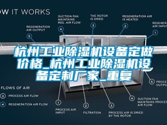 企业动态杭州工业除湿机设备定做价格_杭州工业除湿机设备定制厂家_重复