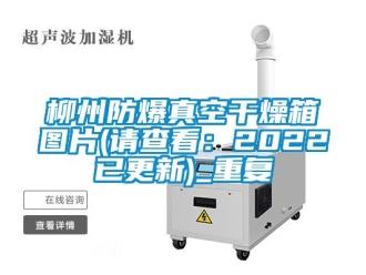 企业动态柳州防爆真空干燥箱图片(请查看：2022已更新)_重复