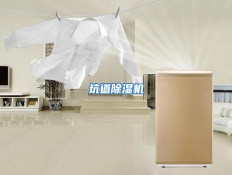 行业资讯坑道除湿机