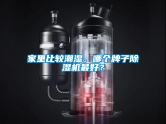 行业资讯家里比较潮湿，哪个牌子除湿机最好？