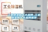 工业除湿机十大品牌_工业除湿机十大品牌推荐