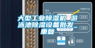 大型工业除湿机 游泳池除湿设备批发_重复