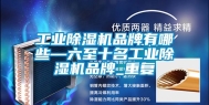 工业除湿机品牌有哪些—六至十名工业除湿机品牌_重复