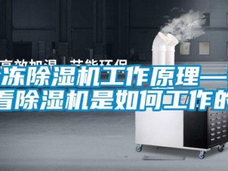 行业资讯冷冻除湿机工作原理—看看除湿机是如何工作的