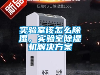 行业资讯实验室该怎么除湿，实验室除湿机解决方案
