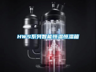 常见问题HWS系列智能恒温恒湿箱