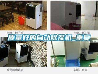 行业资讯质量好的自动除湿机_重复