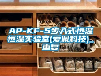 常见问题AP-KF-5步入式恒温恒湿实验室(爱佩科技)_重复
