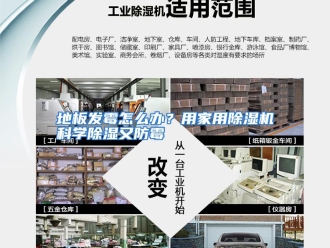 常见问题地板发霉怎么办？用家用除湿机科学除湿又防霉