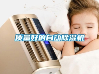 行业资讯质量好的自动除湿机