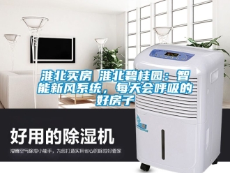 企业动态淮北买房│淮北碧桂园：智能新风系统，每天会呼吸的好房子