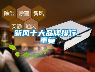 企业动态新风十大品牌排行_重复