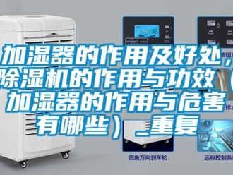 行业资讯加湿器的作用及好处，除湿机的作用与功效（加湿器的作用与危害有哪些）_重复