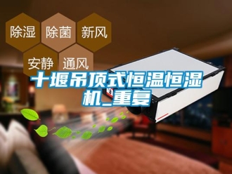 知识百科十堰吊顶式恒温恒湿机_重复