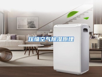 行业资讯压缩空气除湿原理